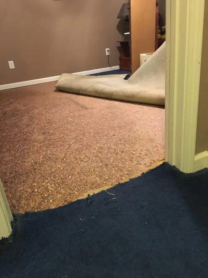 Carpet pad removal revealing water damage during Water Mitigation Services in Fern Park