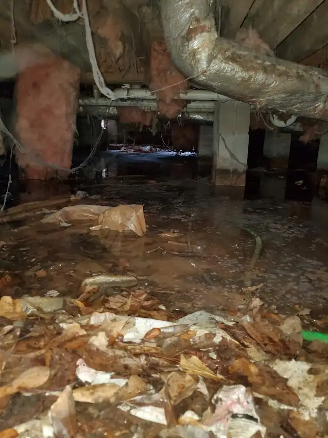 Crawl space flood assessment for Leak Detection & Repair in Fern Park